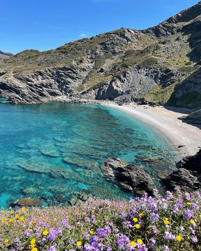 B&B Kasia Palmadula Εξωτερικό φωτογραφία